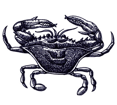 Crab (Blue)